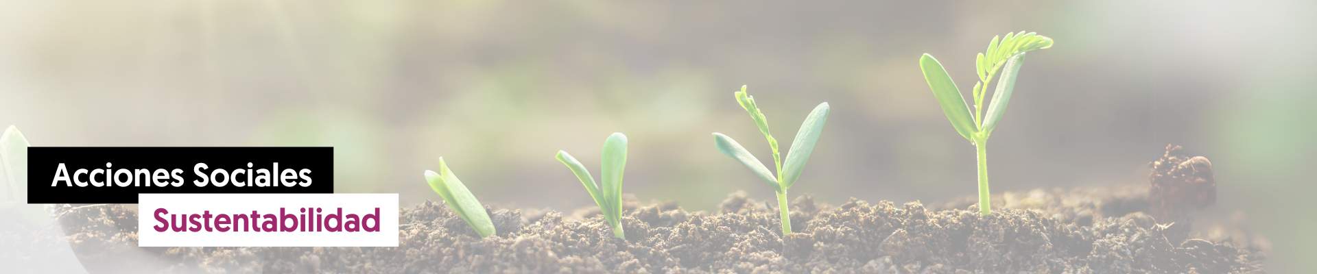Banner Sustentabilidad